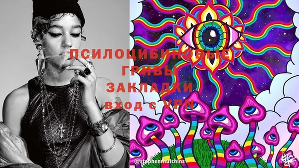 марки lsd Инсар