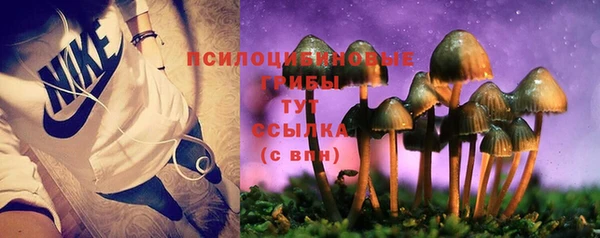 альфа пвп Инта